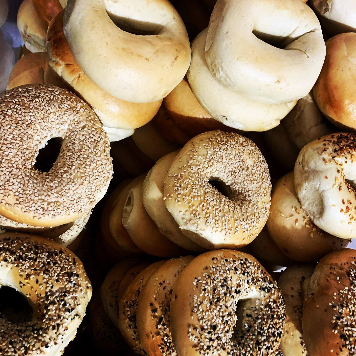 An overhead view of stacks of bagels. The top piles are plain, the middle are sesame seed bagels, and the bottom are everything bagels.