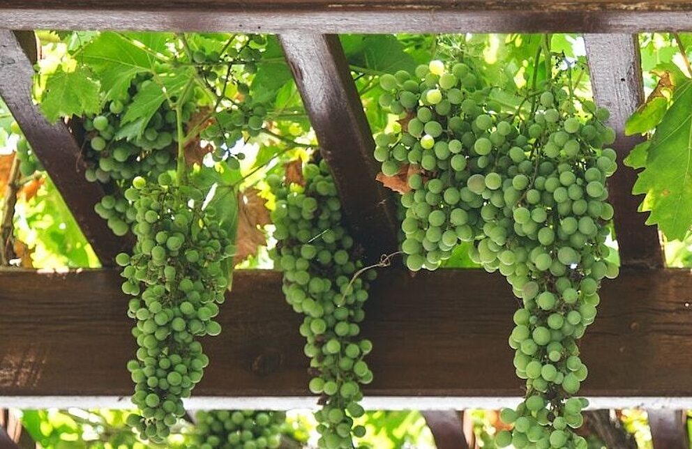 How to Open a Wine Bar Starting a Wine Bar Checklist On the Line